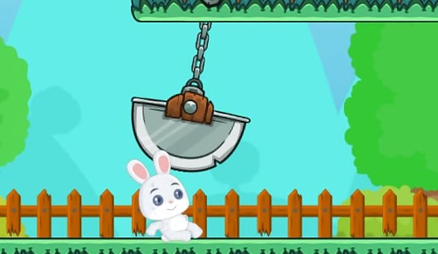 래빗 런 어드벤처(Rabbit Run Adventure)