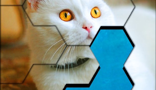 Blocs Hexa Jigsaw Puzzle™