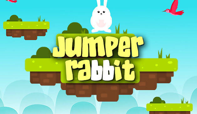 Jumper Kaninchen