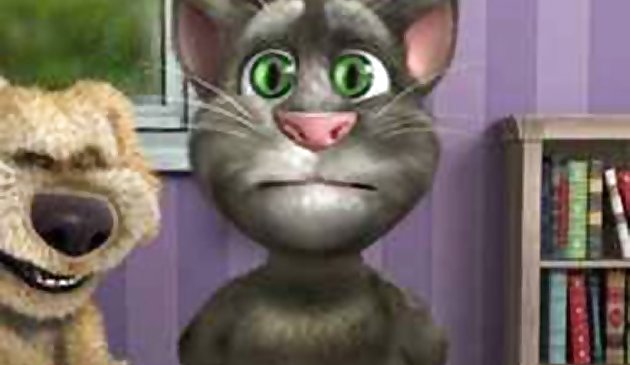 Talking Tom Funny Time