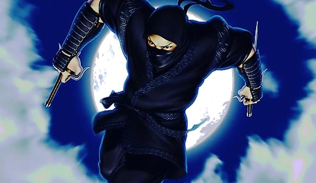 Ninja Défenseur