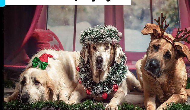 Рождественская забавная собачья головоломка