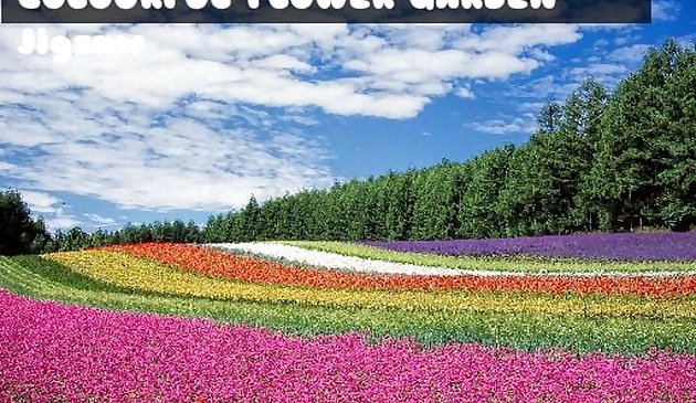 Buntes Blumengarten-Puzzle