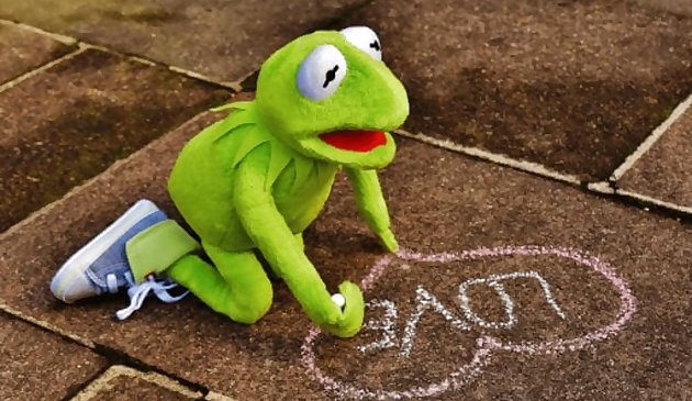 5 in 1 Picture Puzzle