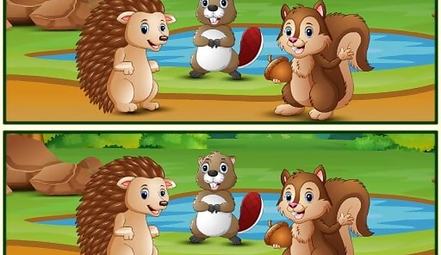 차이점 숲 찾기