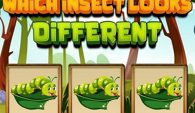 ¿Qué insecto se ve diferente?