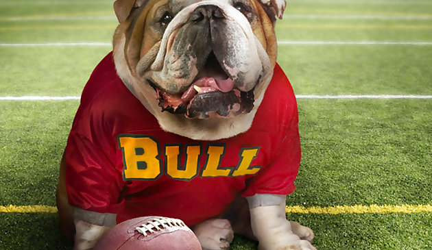 Divertido rompecabezas de perros