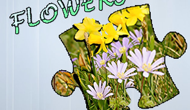 Jigsaw Puzzle: Flowers
