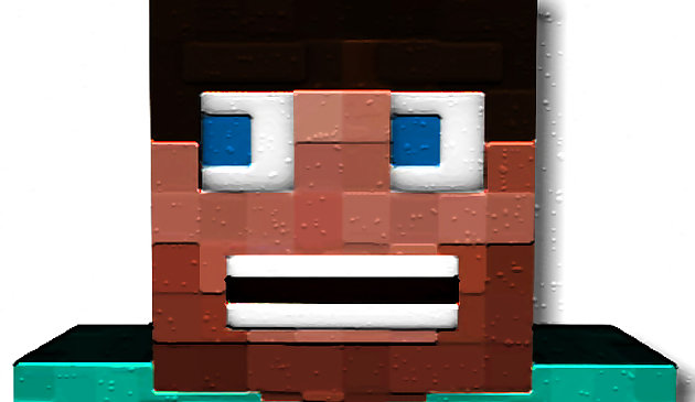 Block Craft Survival