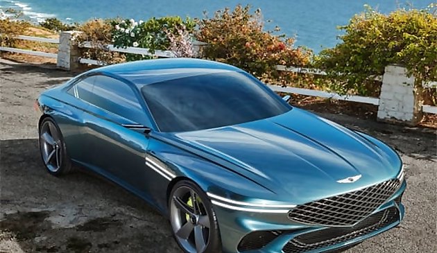 Genesis X Concept Puzzle