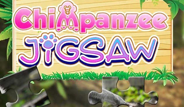 Chimpanzee Jigsaw