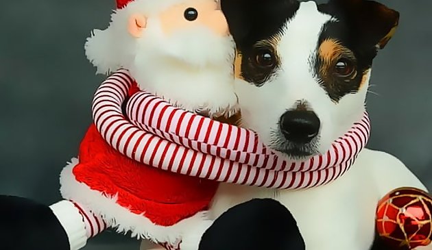 面白いクリスマス犬