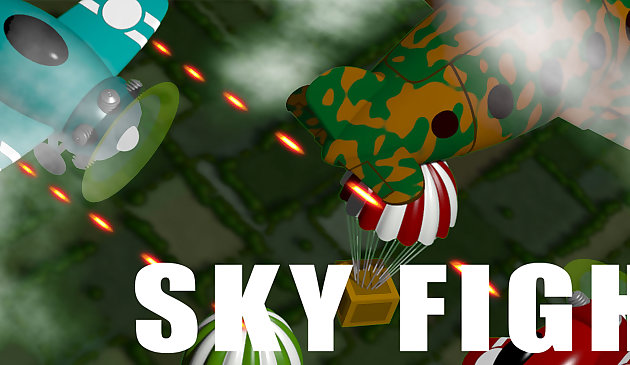 스카이 파이트