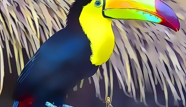 Toucan Bird Jigsaw