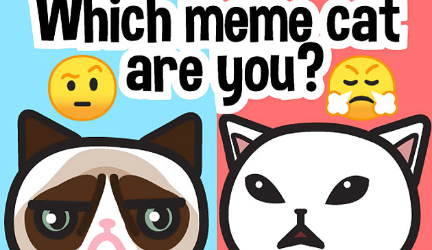 Welche Meme-Katze bist du?