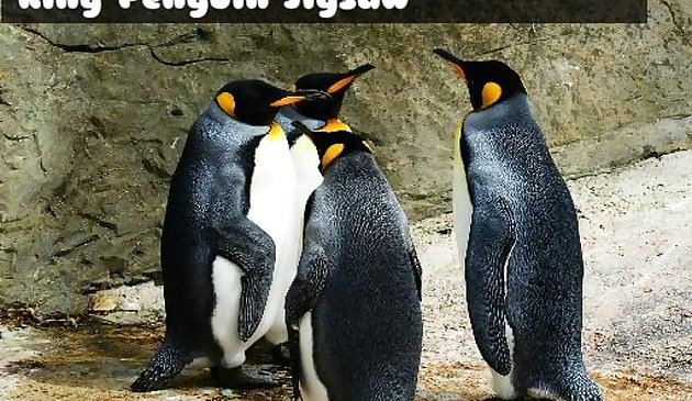 King Penguin Jigsaw