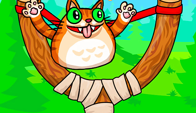 화난 고양이 샷