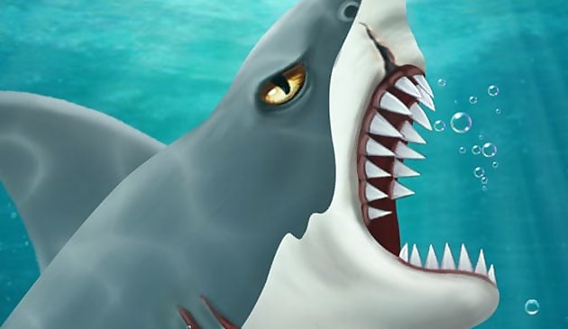 Ataque de tiburón-casual
