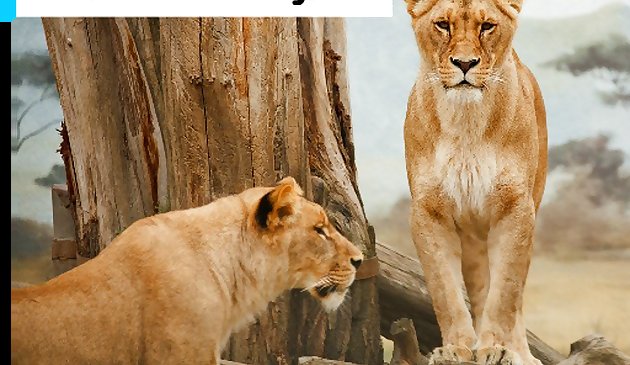 Puzzle carnivore d’Afrique