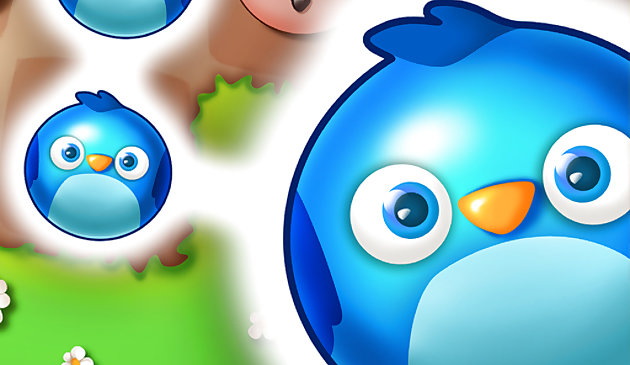 Animal Match Pet Rescue