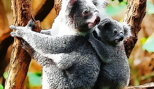 Niedlicher Baby-Koalabär
