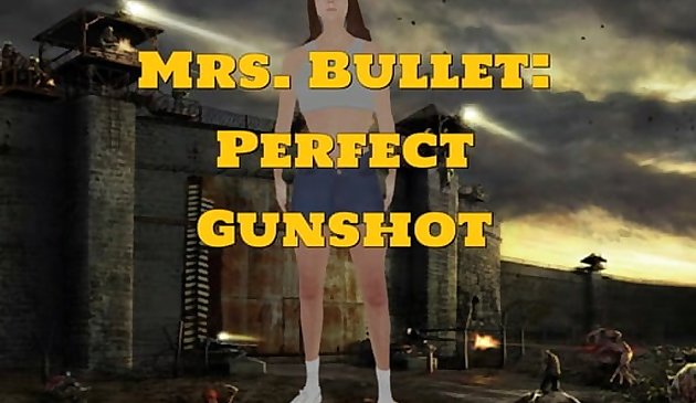 弾丸夫人:完璧な銃声