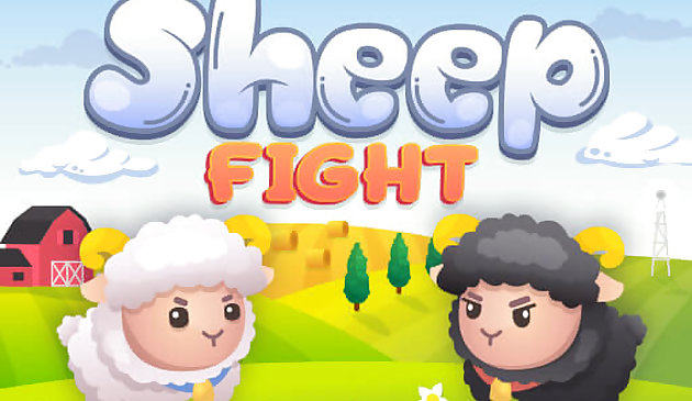 Combat de moutons