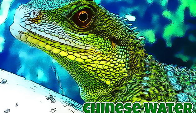 中国の水竜ジグソーパズル