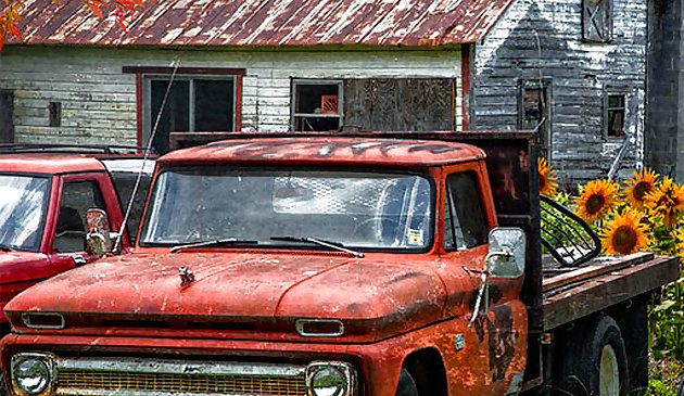 Diferencias de coches viejos oxidados 2