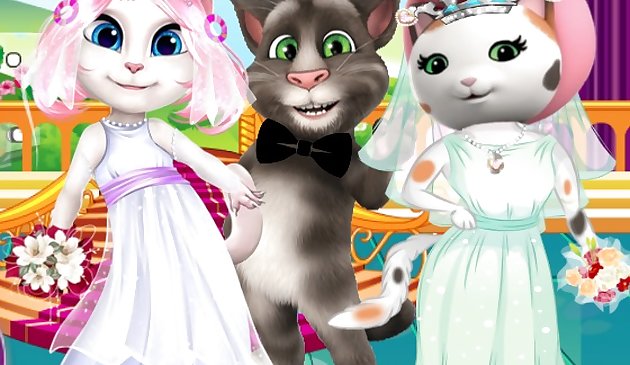 Concurso de novias de gatitos blancos