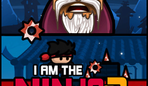 I am The Ninja II