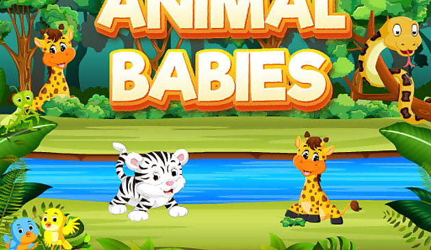 Animal Babies