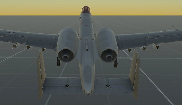 Simulateur de vol réel