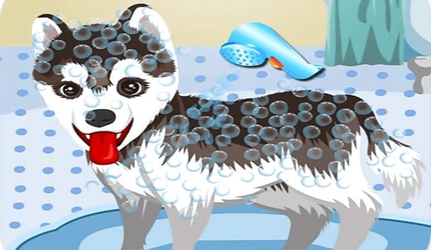 내 귀여운 강아지 목욕