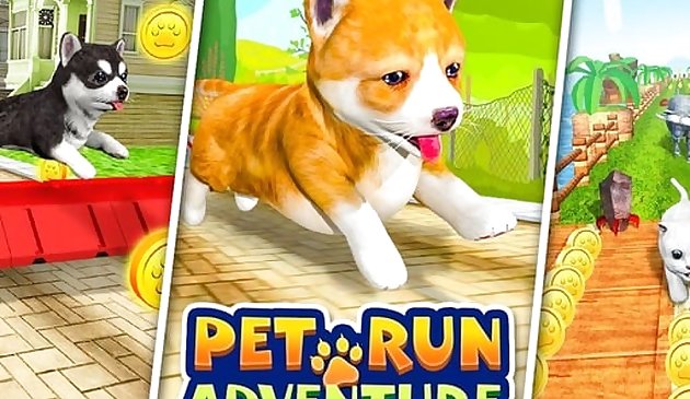 Pet Run Aventure Puppy Run