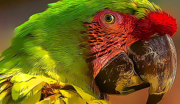 Papageien-Vogel-Puzzle