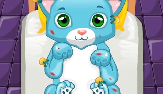 カッツェナルツト