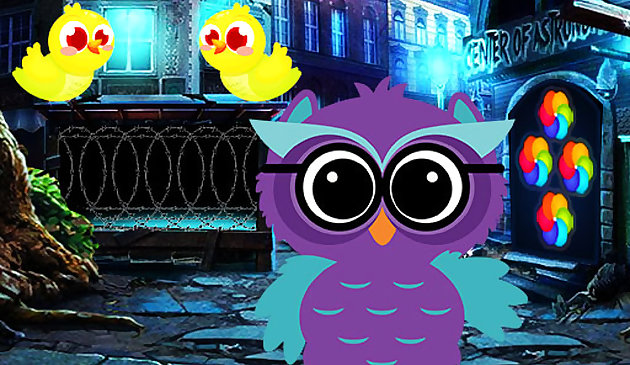Ruler Owl Escape Game