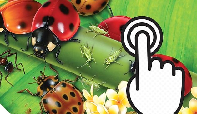 Ladybug Clicker
