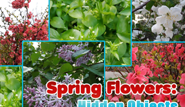 봄 꽃: 숨은그림찾기