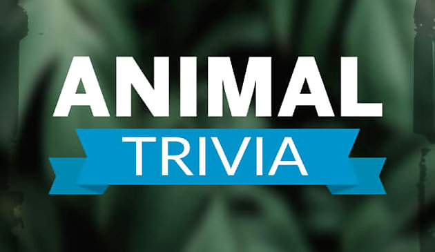 Animal Trivia