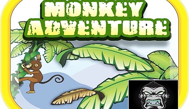 Приключения обезьяны