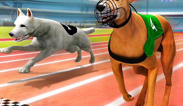 Настоящий симулятор собачьих бегов 3D