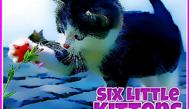 Six petits chatons