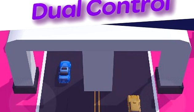 Control dual 3D