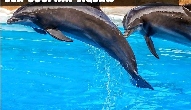 Scie sauteuse de dauphins de mer