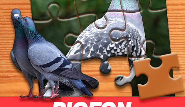 Puzzle de pigeon