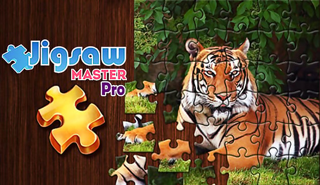 Jigsaw Master Pro