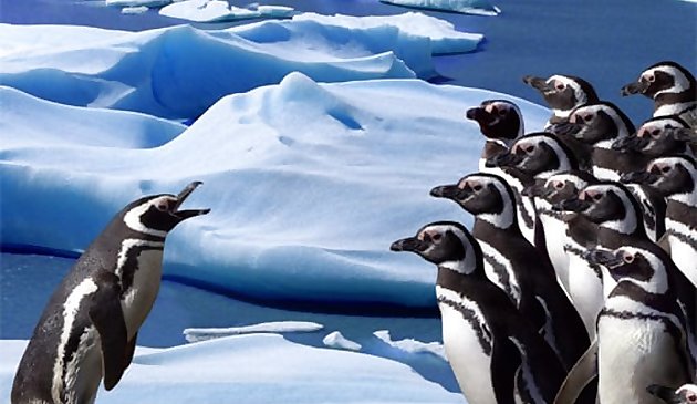 Tobogán de pingüinos