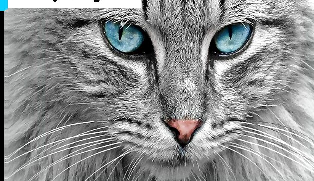 Головоломка кошачьего глаза